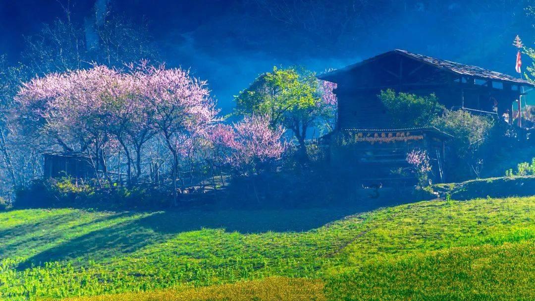 “尾牙”夜严查酒驾醉驾及背后“四风”问题